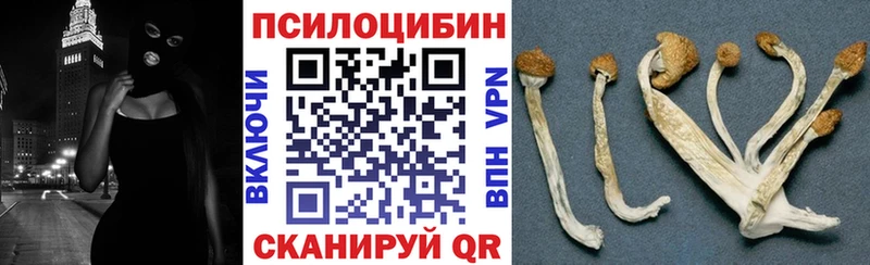Псилоцибиновые грибы ЛСД  Купить закладки  Снежинск 
