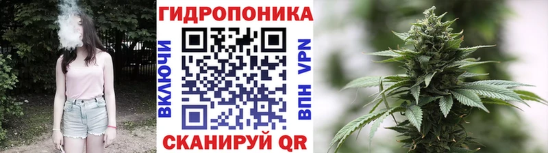 Бошки марихуана индика  Купить  Снежинск 